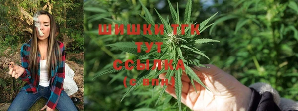 амфетамин Каменка
